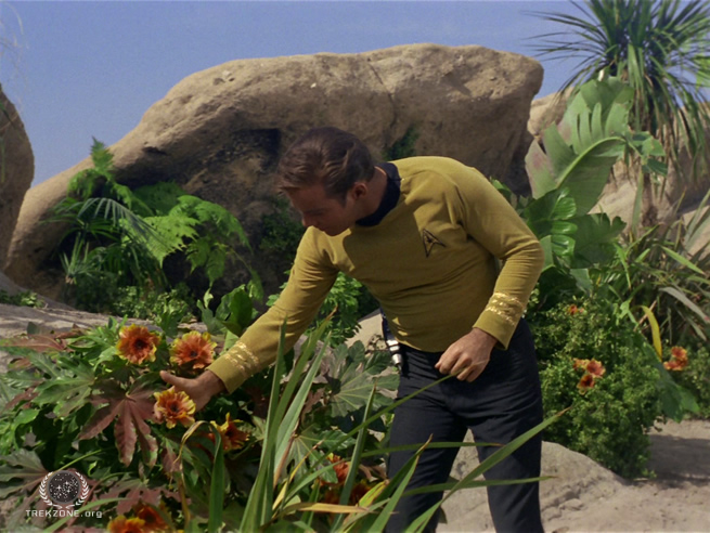 Screencap 14